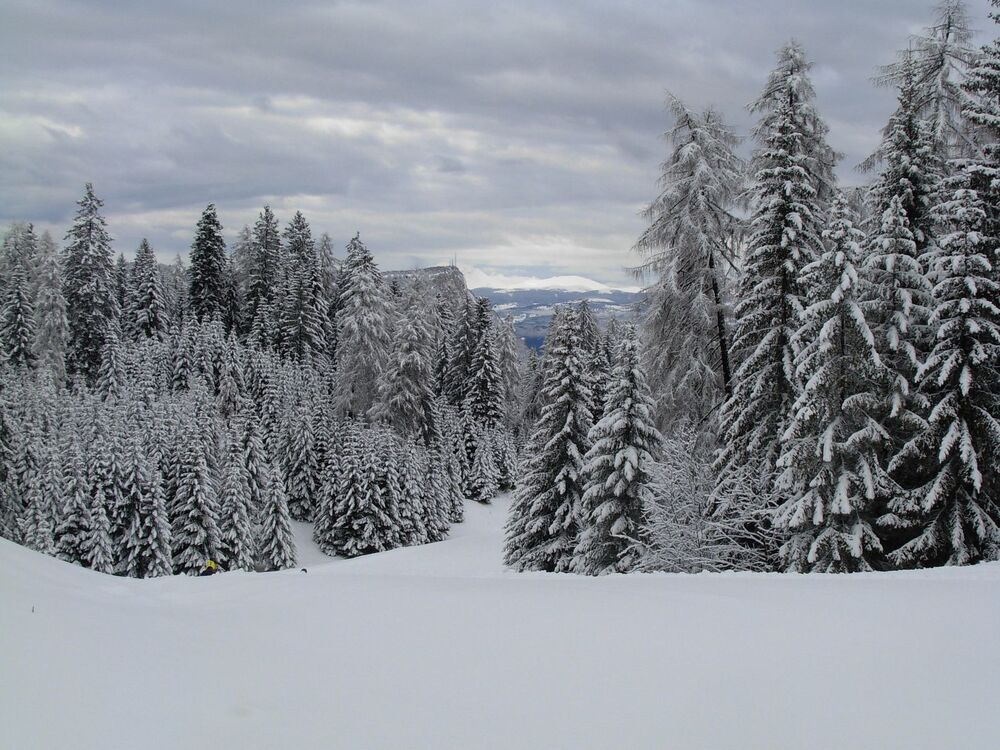 Outdoor SNOWY Day Activities