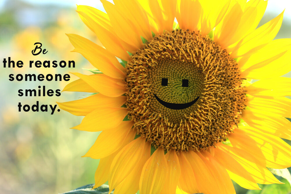 sunflower with message "Be the reason someone smiles today"