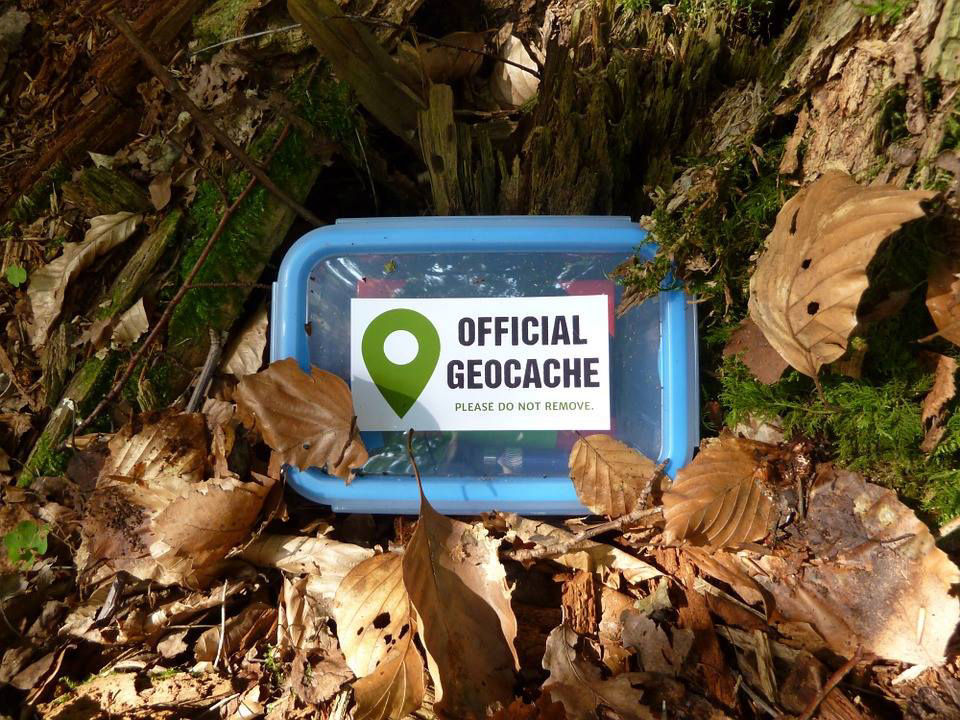 Blue box with Official GeoCache print laying in leaves