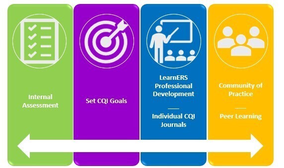 LearnERS and Continuous Quality Improvement