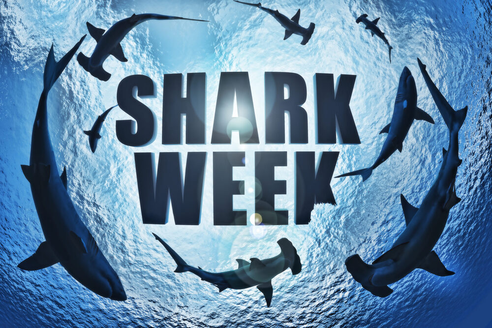 Shark Week