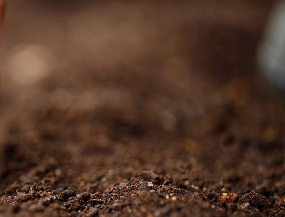 dirt/soil/mud