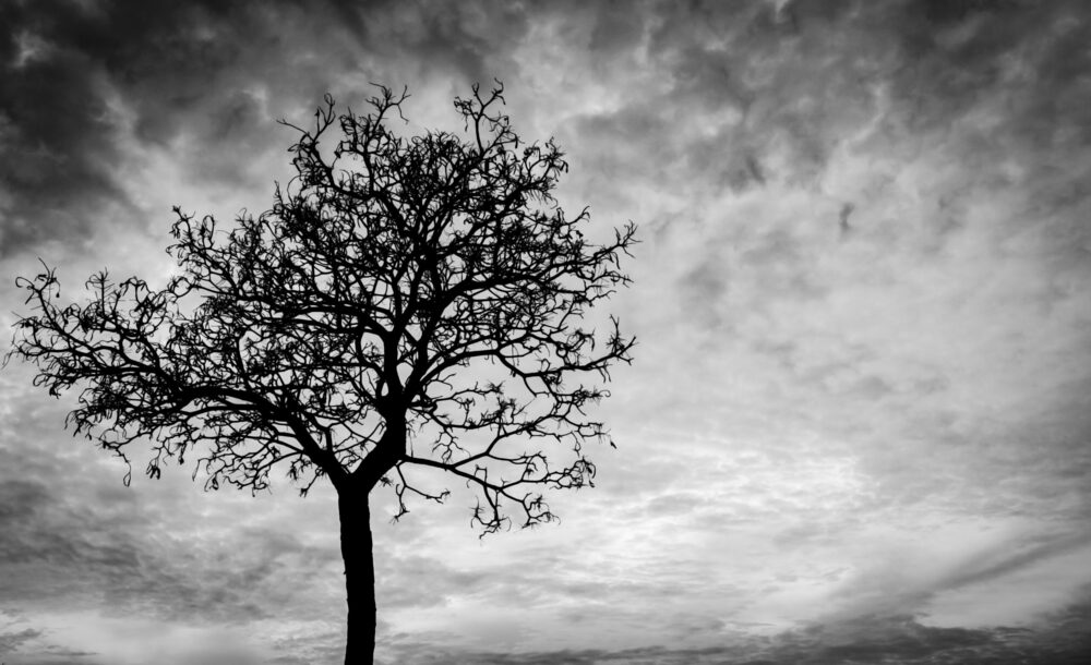Helping Children Cope with Death