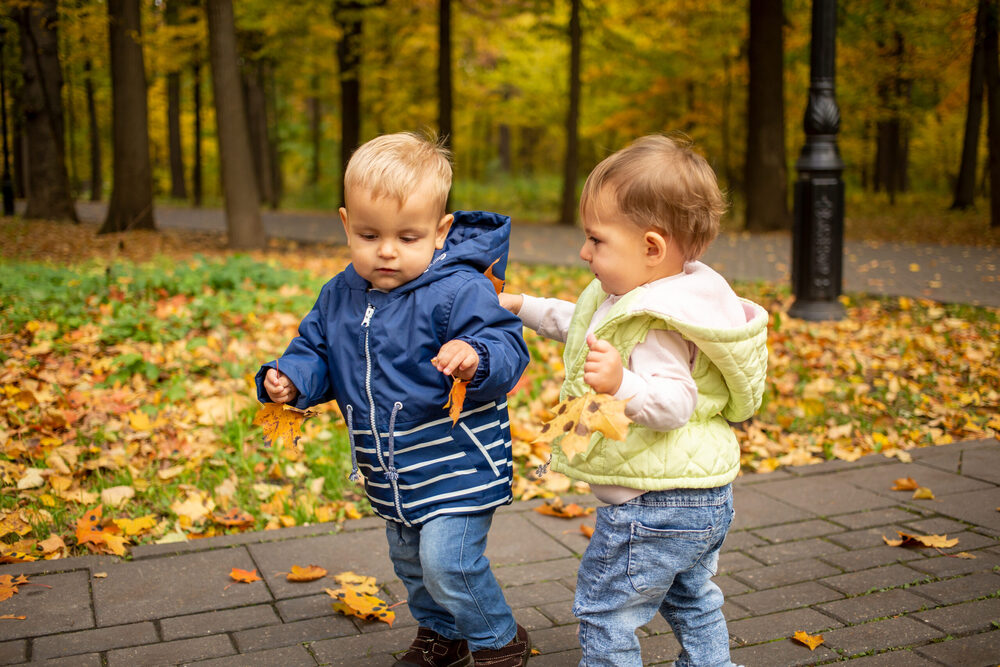 Two toddlers on a fall day, one in a blue jacket and the other in a green one. One pushes the other