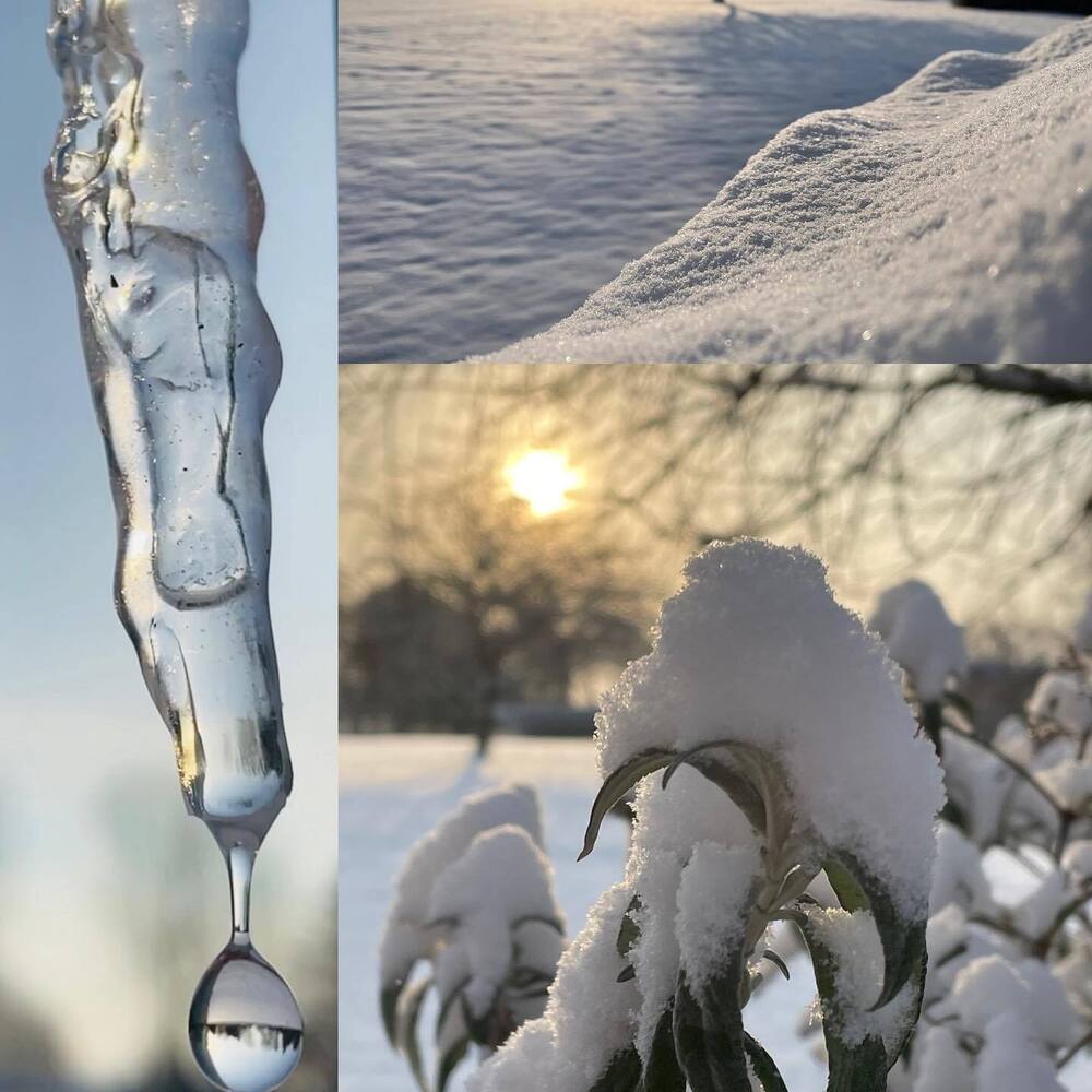 A three-panel photo collage featuring winter scenes: a melting icicle with a water droplet, sparkling fresh snow, and snow-capped plant leaves lit by the winter sun