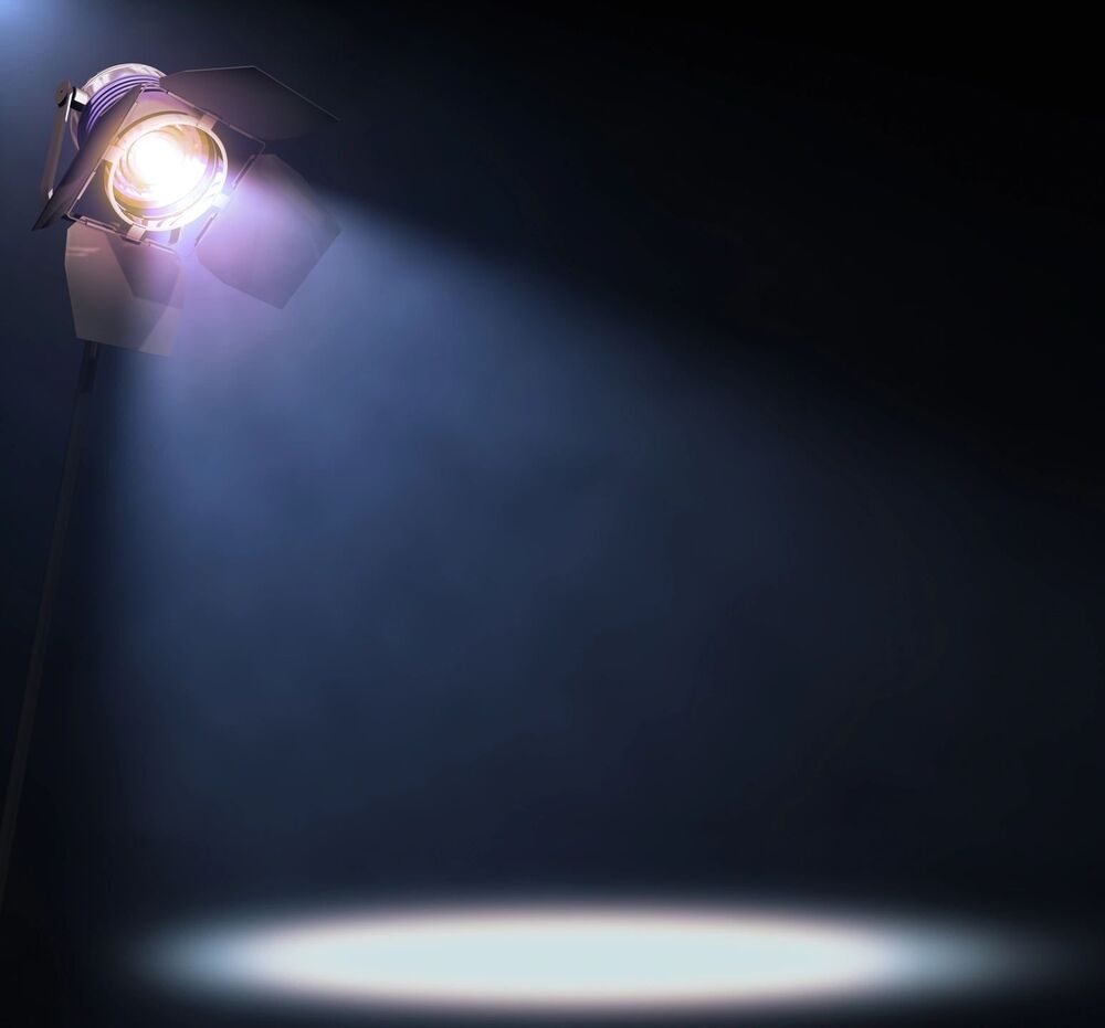 Director Spotlight