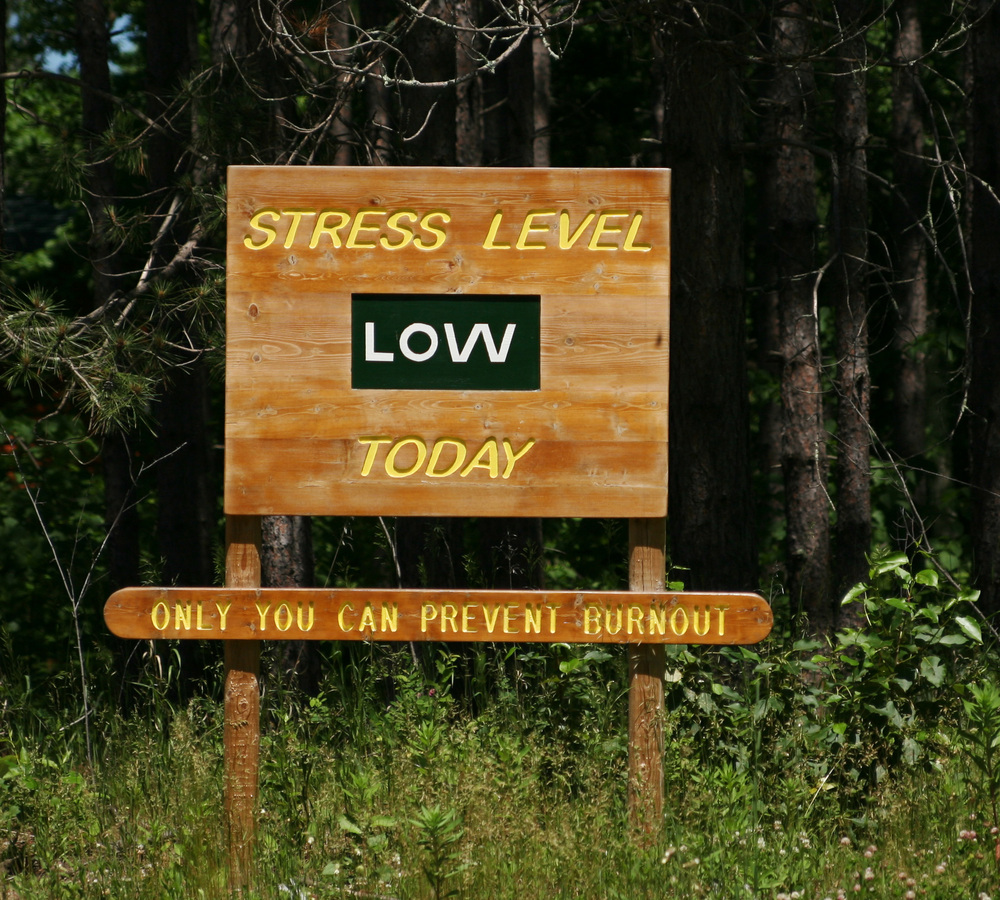 Facing Stress and Burnout? Recognize and react!