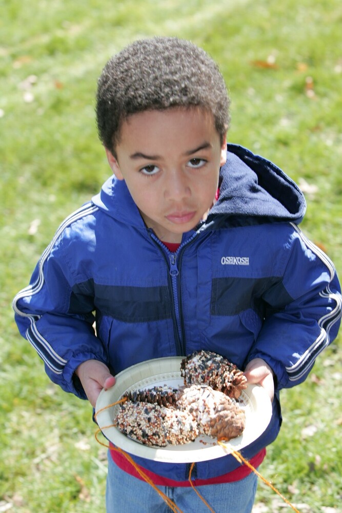 A young boy holding a plate of pinecone bird feeders made with birdseed and orange string.