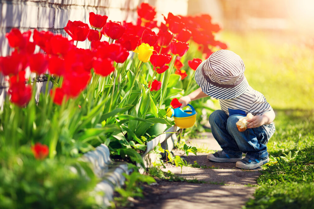 kid watering flowers
