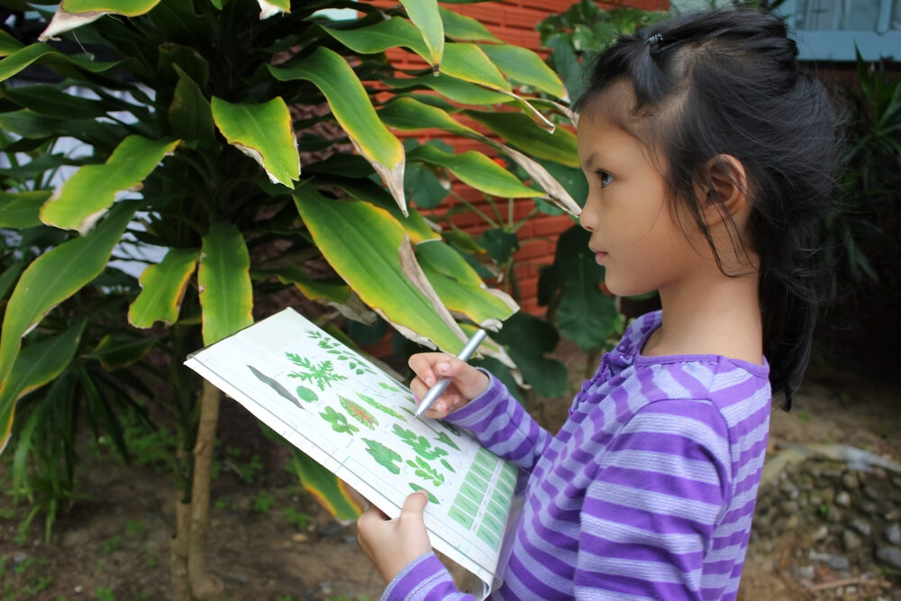 Looking Past the Magnifying Glass: Science in the Classroom