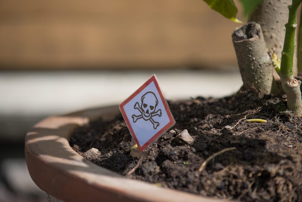 toxic sign in a plant