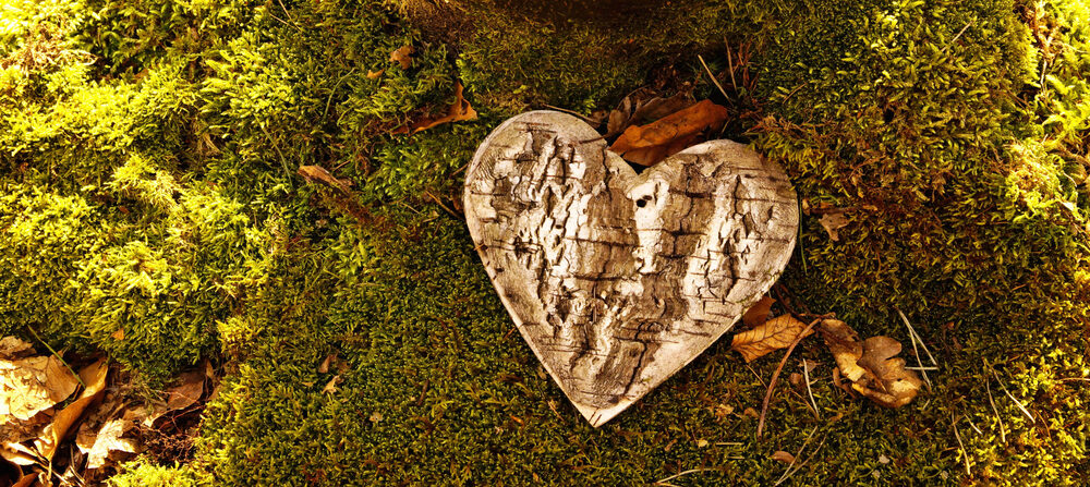 A rustic heart made of textured tree bark resting on green moss and fallen autumn leaves in warm sunlight