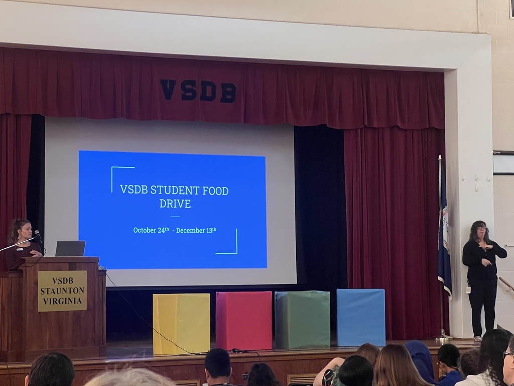 view of a presentation on the large screen in the vsdb auditorium. one woman stands at the podium speaking and another woman stands on the other side of the stage for ASL interpreting. four large boxes are spaced out across the front of the stage - one yellow, one red, one green, and one blue.