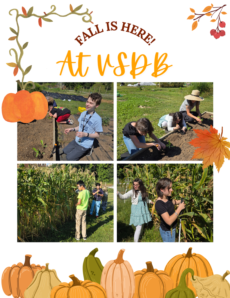 Collage of students gardening and exploring corn plants outdoors at VSDB during fall. The flyer is decorated with pumpkins, leaves, and vines, with the text ‘Fall is Here! At VSDB’ in orange and brown lettering.