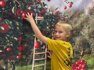 a student is inside and "picking" an apple from a apple orchard background