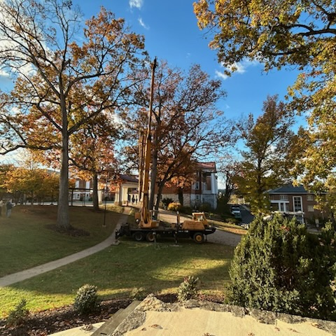 machinery working on the upper branches of this oak tree. fall colors shine as the sun beams through