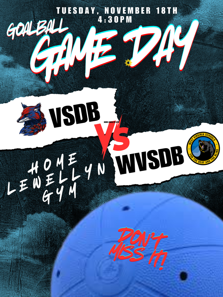 Copy of Blind Girls and Boys GoalBall