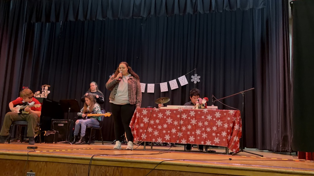 A band is on stage singing 