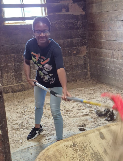 A student is mucking out a stall.