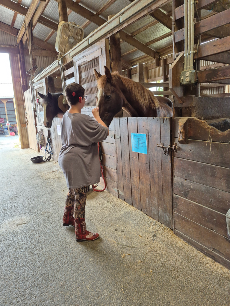 A brown horse is in a stall while a student pets their nose.
