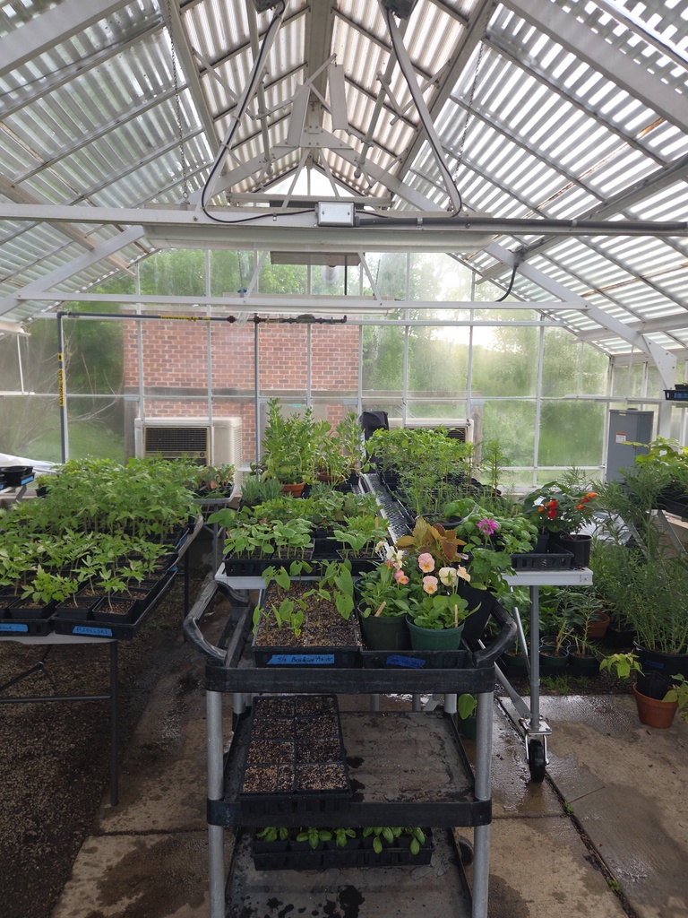 A greenhouse is filled with plants and flowers.