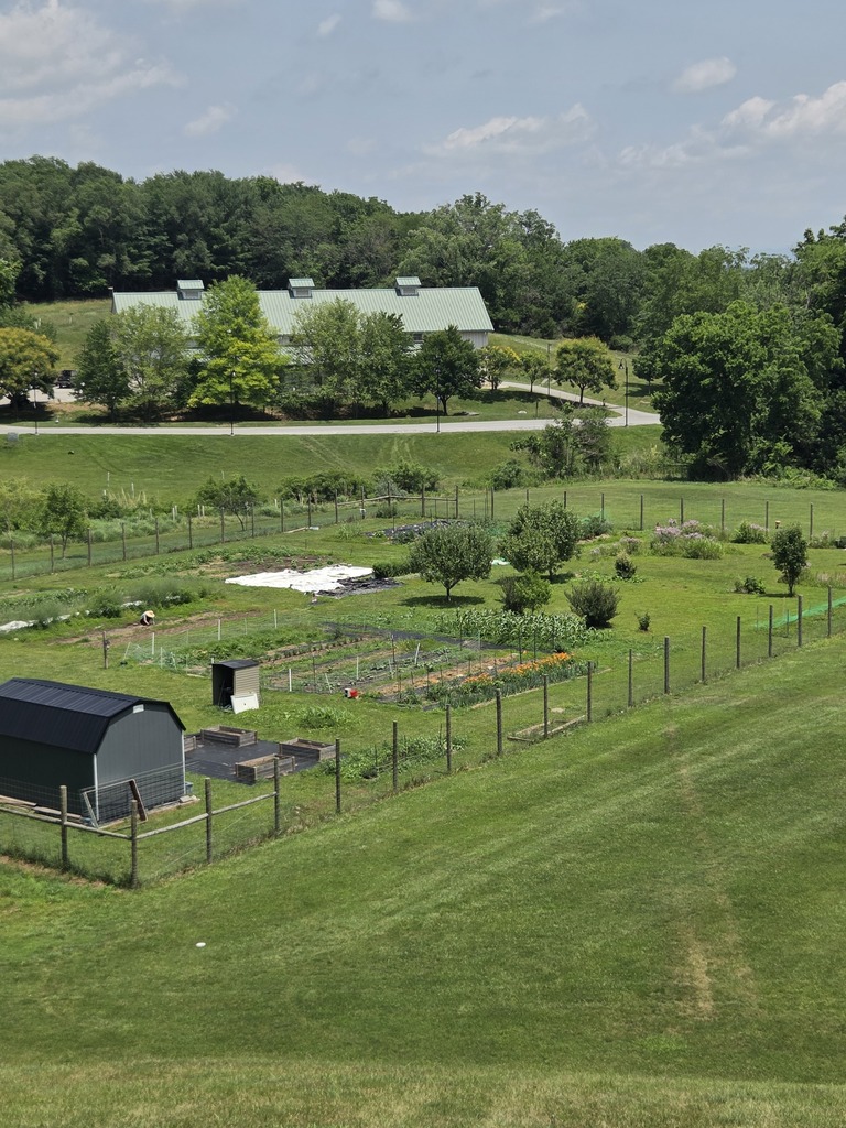 A blue sky frams the farm, there are rows of crops,several trees, a shed, a large barn in the background.