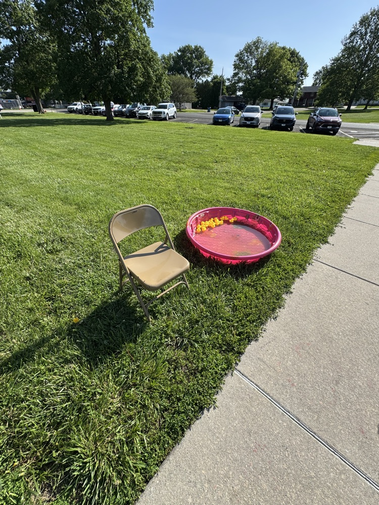 ducks