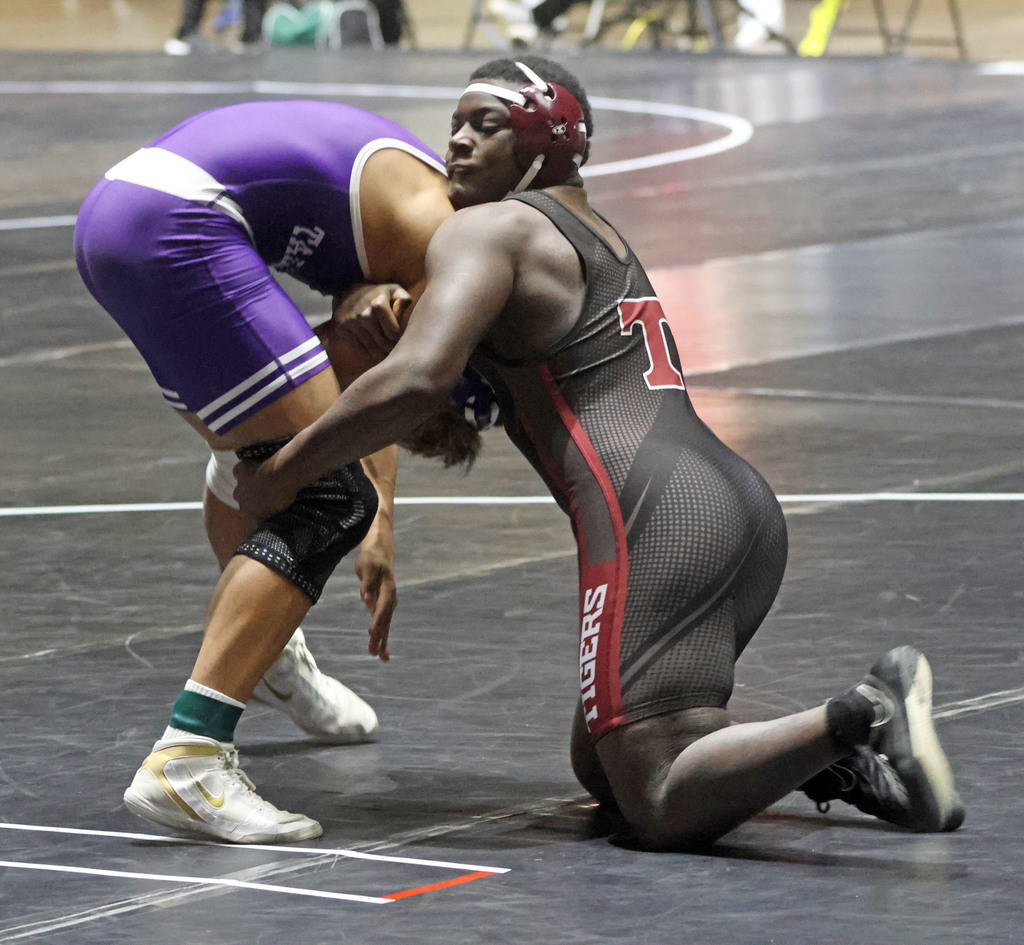 Coleman Pilkington, Brayden Williams and Antione Pitts of the Thomasville High School Tigers wrestling team have earned the right to move to the state tournament next week in Huntsville.