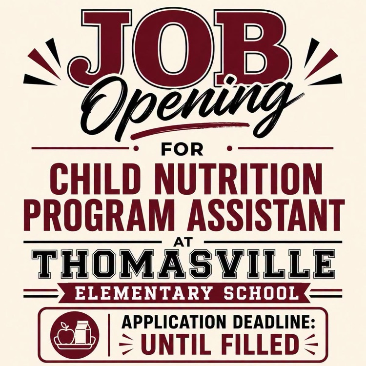 https://www.thomasvilleschools.org/page/job-vacancies1