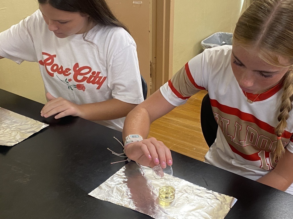 SA Jones Physical Science 3