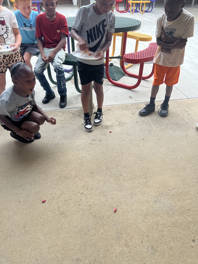 JES 2nd grade Arsenault Catapult  STEM 5