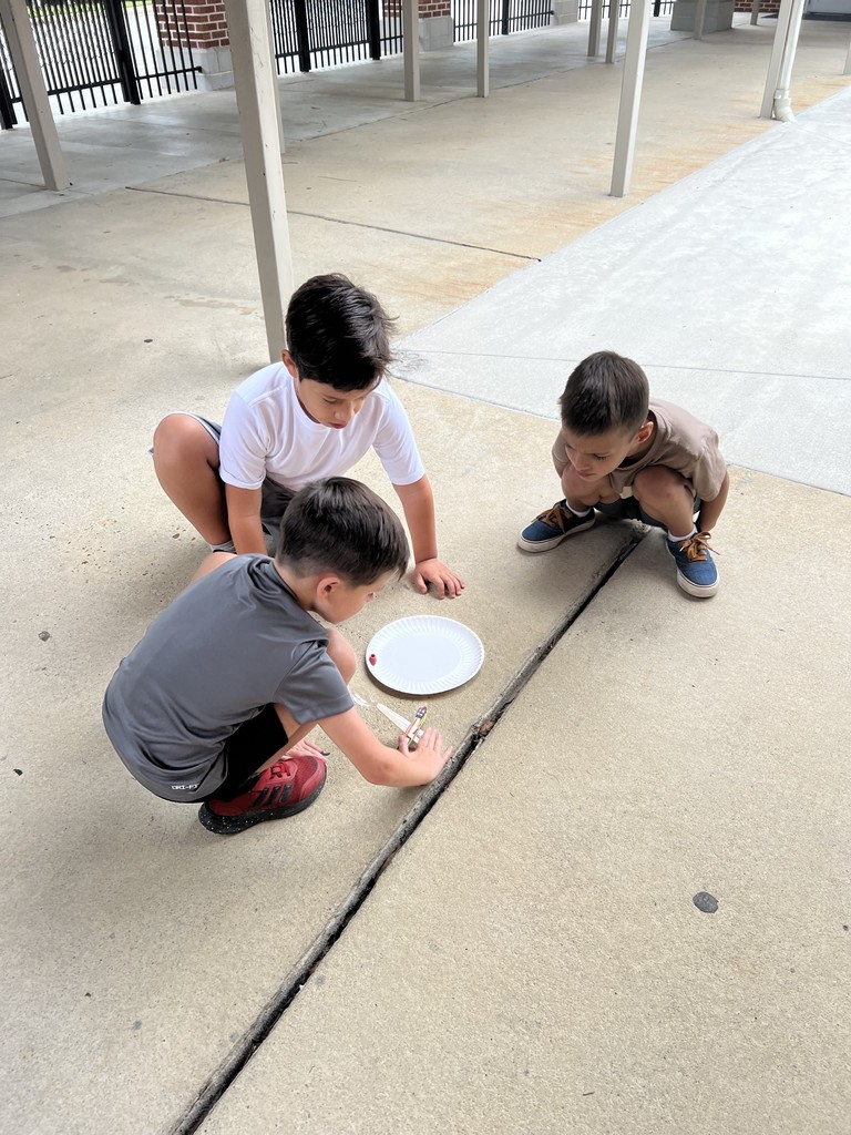 JES 2nd grade Arsenault Catapult  STEM 6