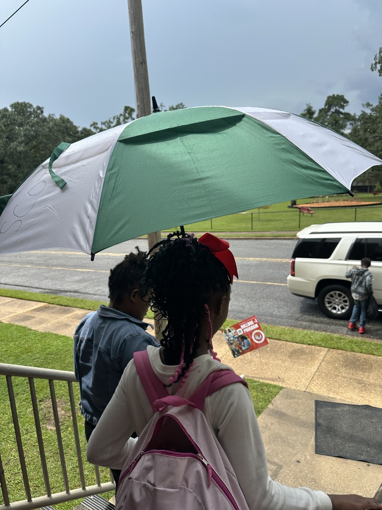 TNB Umbrellas
