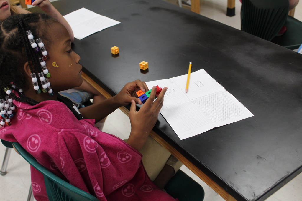 TCS Elementary STEM Programs 8