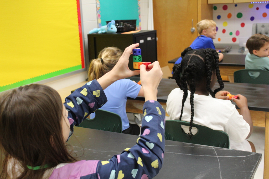 TCS Elementary STEM Programs 10