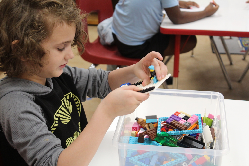TCS Elementary STEM Programs 4
