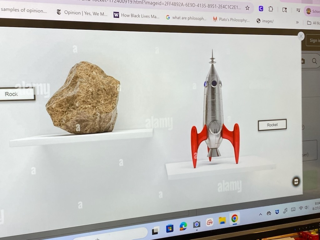 stem