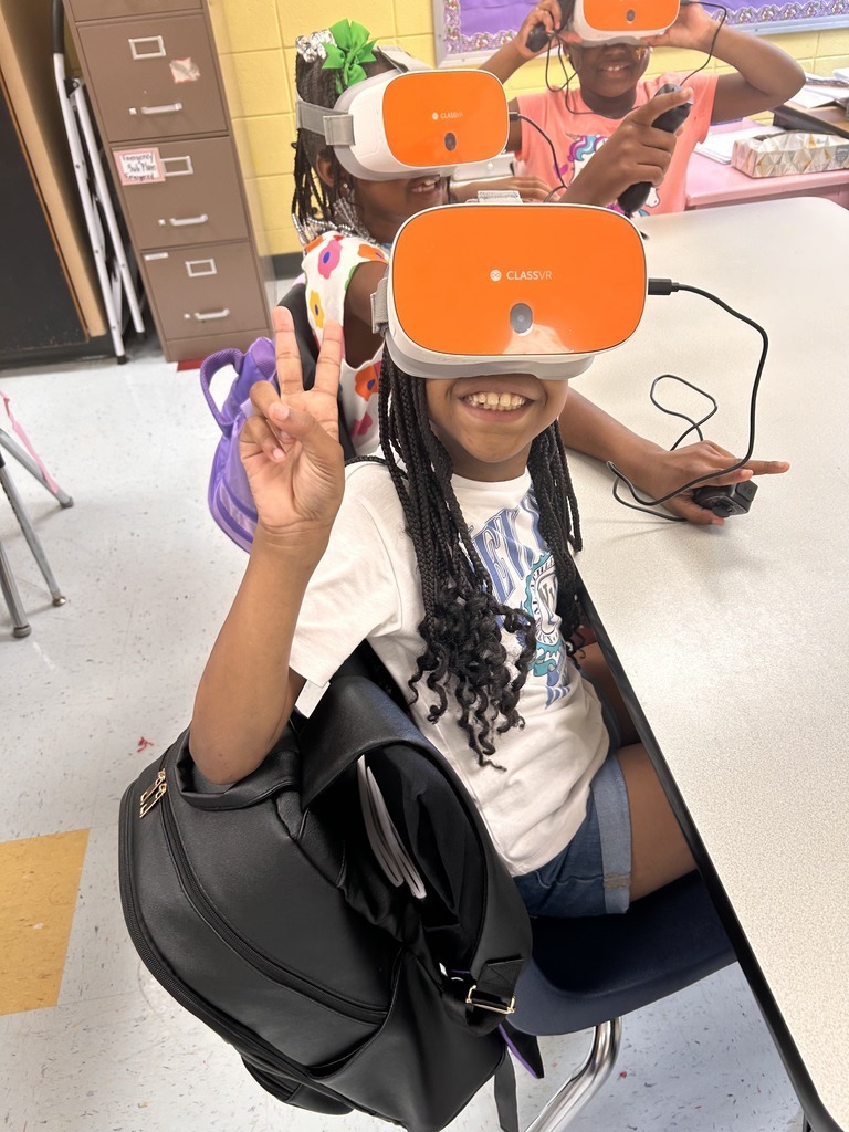 SES 3rd grade VR Nouns and Verbs 1