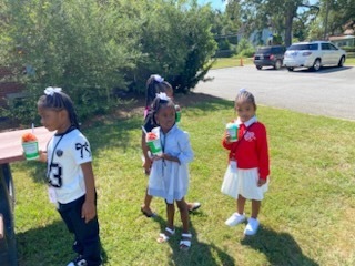 Kona Ice