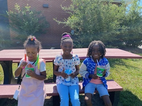 Kona Ice
