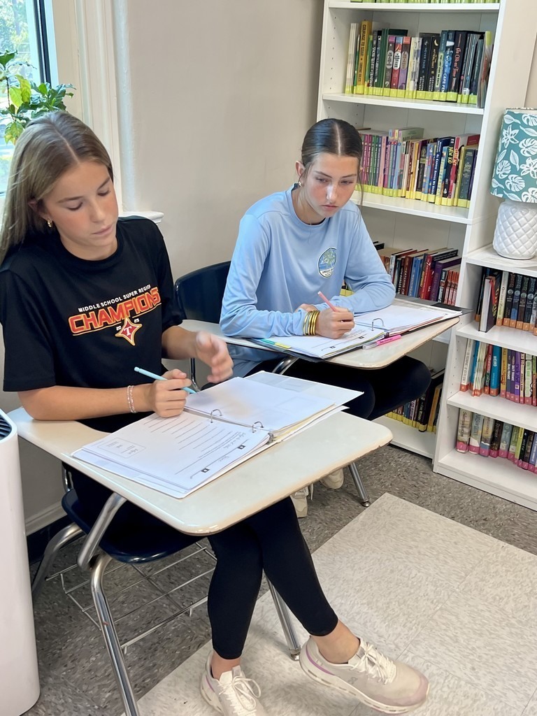 SA 8th Grade Chen Black ELA Writing 5