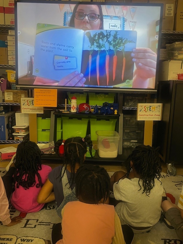 HES STEM GA Reads Day 8