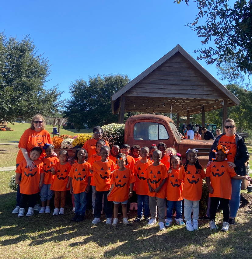 Pumpkin Patch