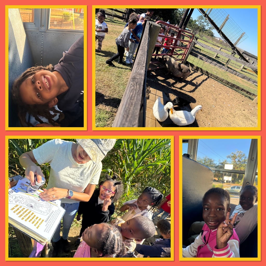 Pumpkin Patch