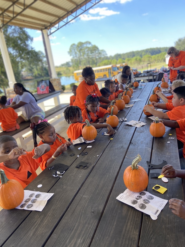 Pumpkin Patch
