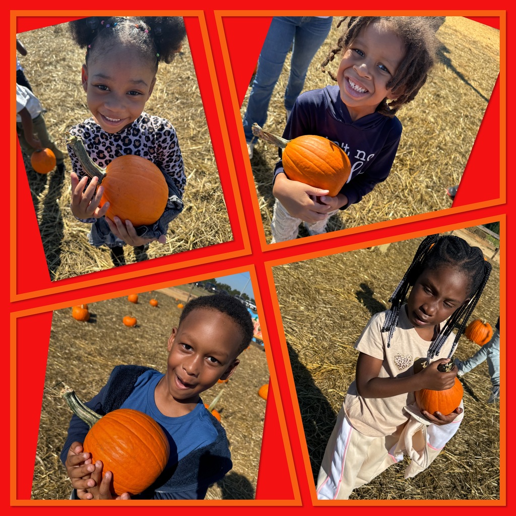 Pumpkin Patch