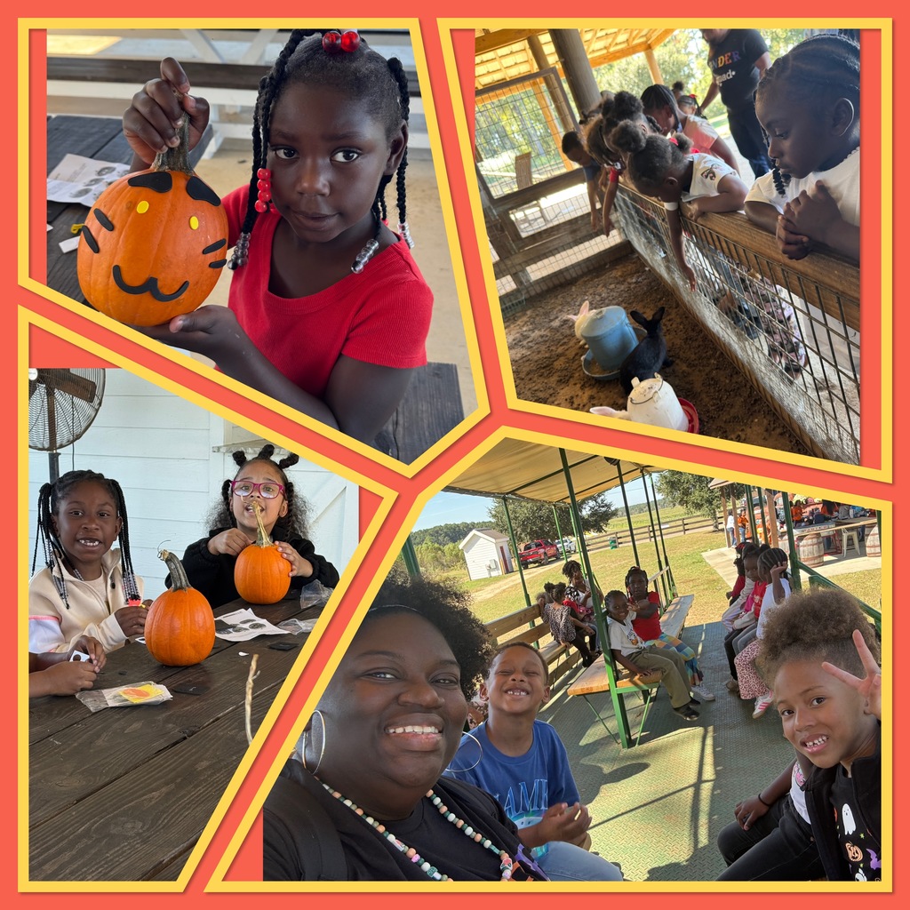 Pumpkin Patch