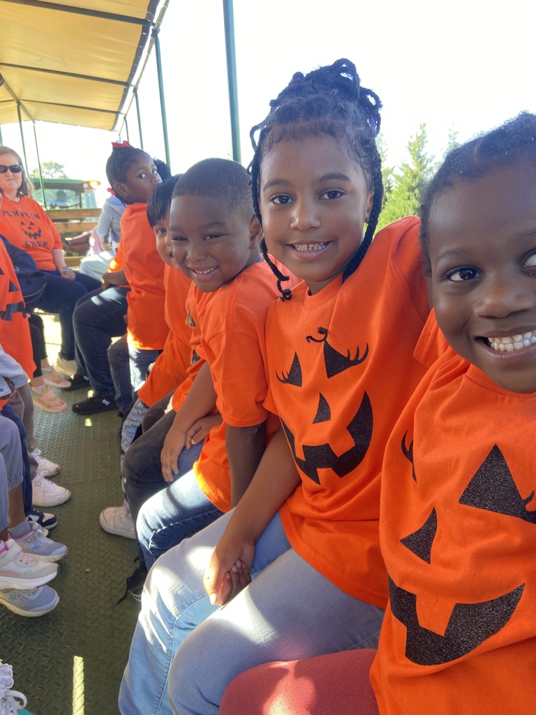 Pumpkin Patch