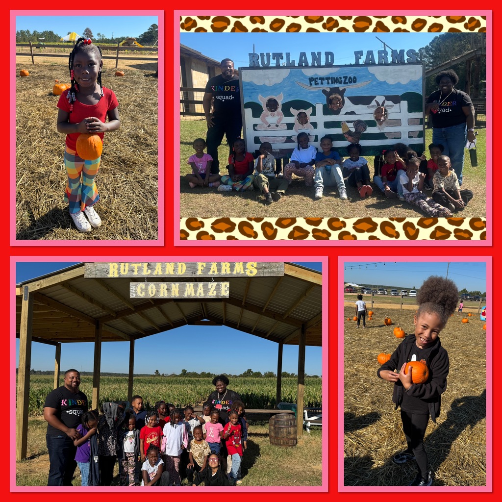 Pumpkin Patch