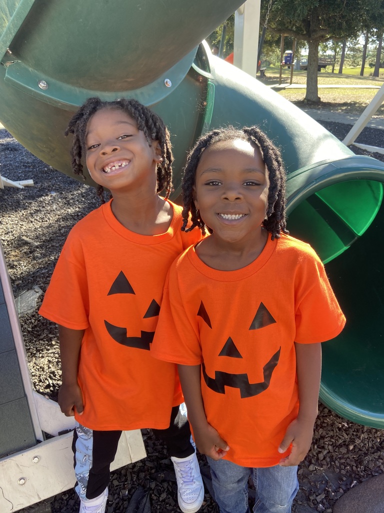 Pumpkin Patch